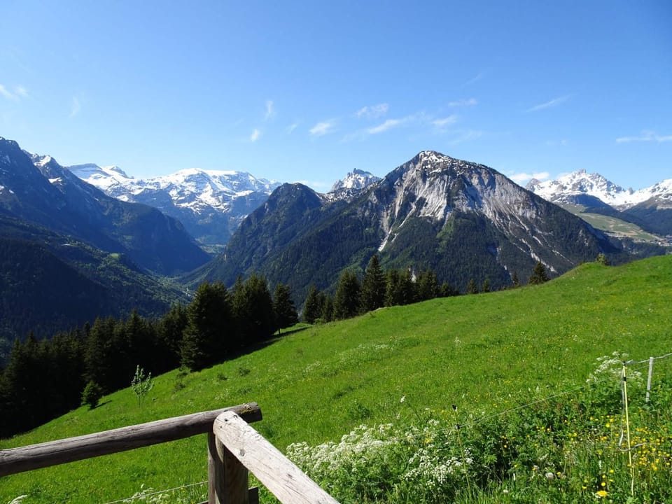 Chalet Alpage près des Cimes, 8 pers, Terrasse, Animaux admis - FR-1-464-148 Chalet in Champagny-en-Vanoise