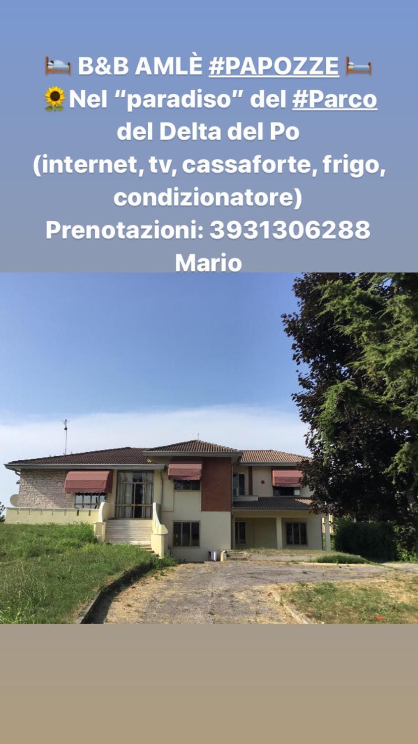 Logo/Certificate/Sign, Street view, Certificate/Award