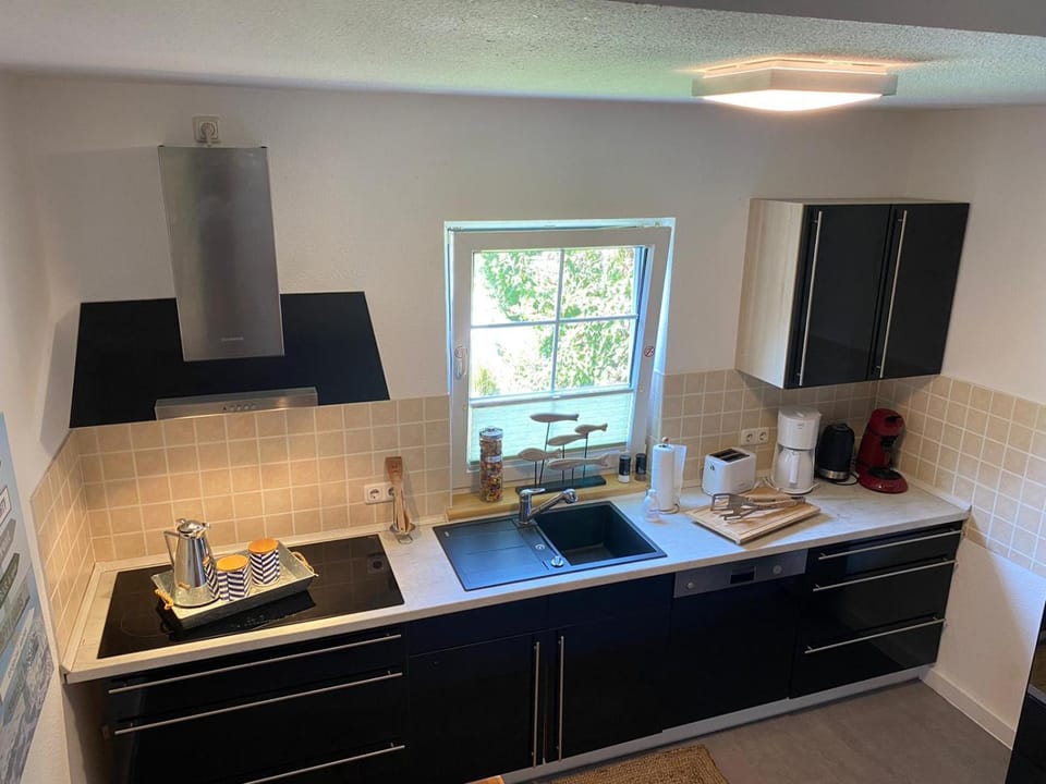 Pool & Lake Holiday Home House in Leipzig