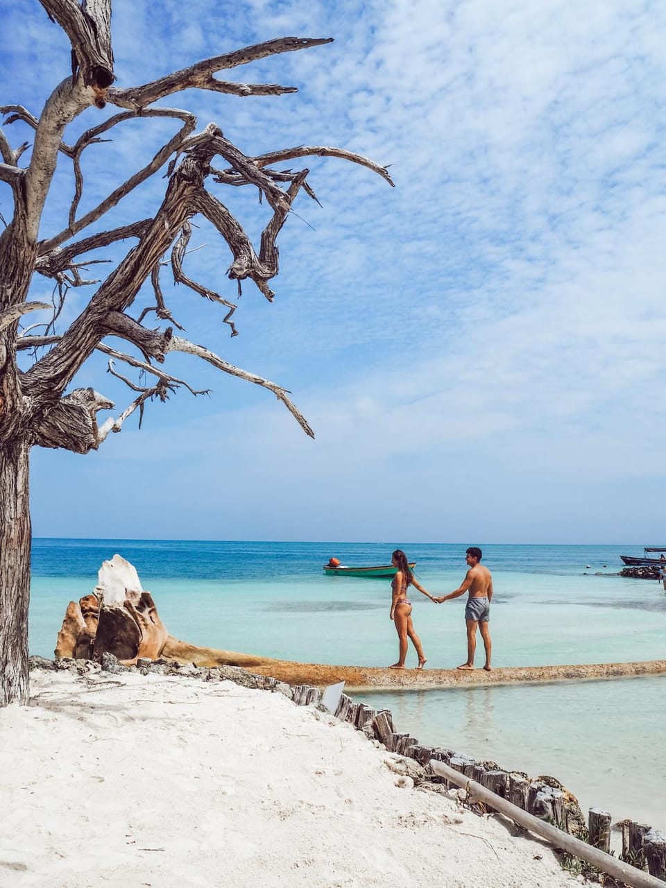 Day, People, Natural landscape, Beach, Sea view, group of guests