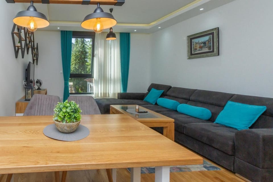 Nirvana 01 Apartment in Zlatibor