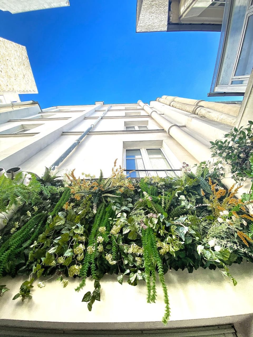Patio, Garden