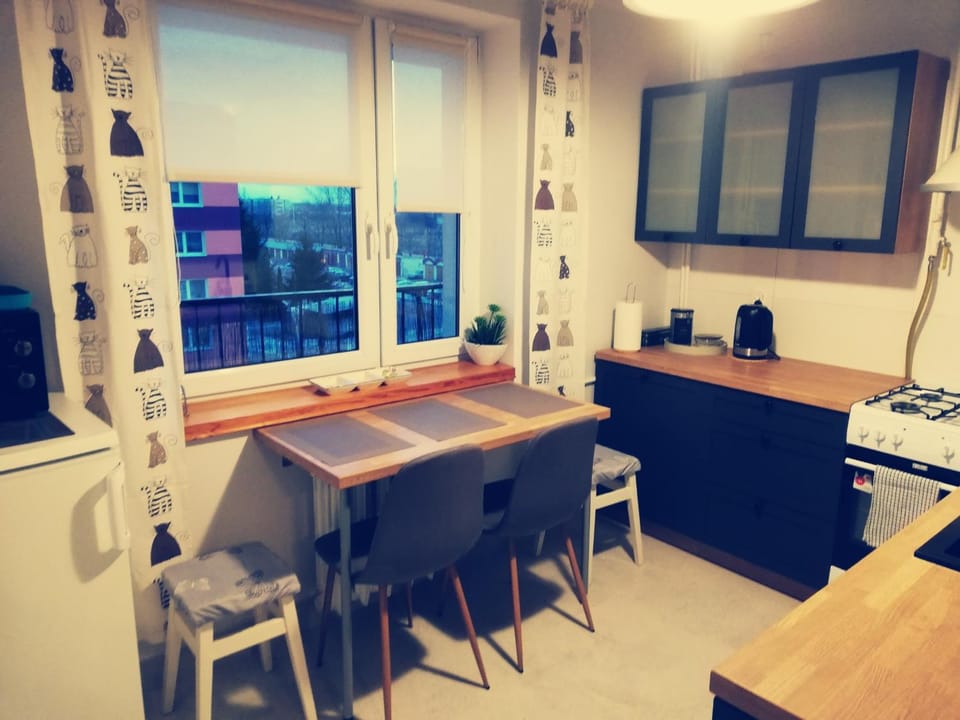 Kaktusik Apartment in Lithuania