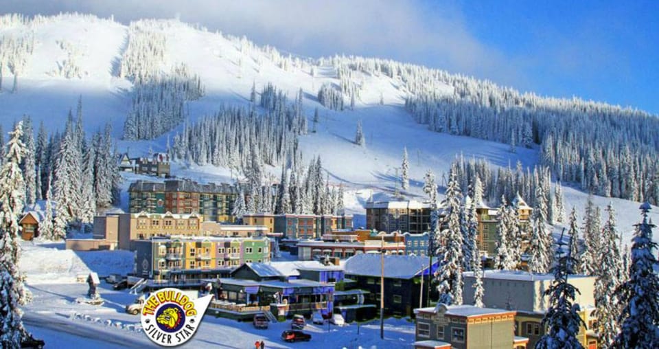 Neighbourhood, Natural landscape, Bird's eye view, Winter