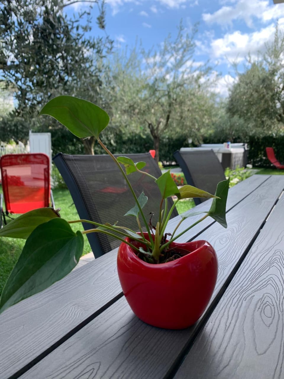 Villa Lori Apartments Garden and Beach Apartment in Peschiera del Garda