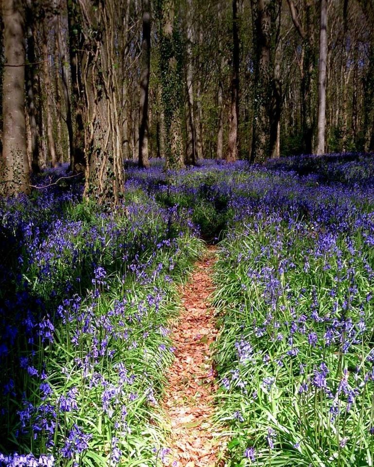 Number 6 Narrow Water Castle Apartment in Northern Ireland