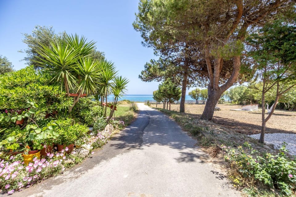 Sea view
