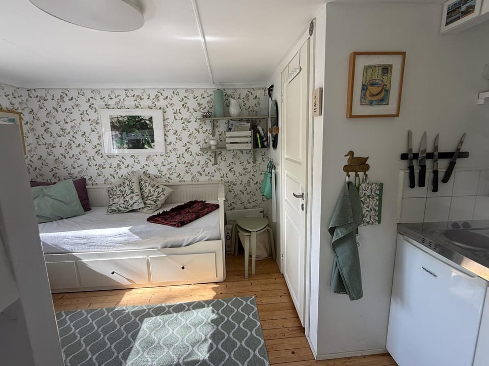 Bed, Bathroom, Kitchen or kitchenette, Photo of the whole room, bunk bed, internet