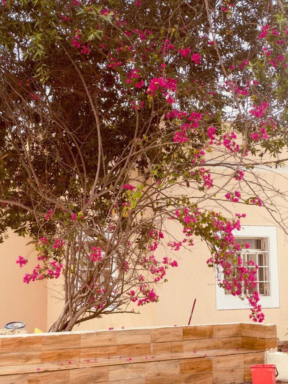 Star Emirates Garden Villas Salalah Villa in Oman