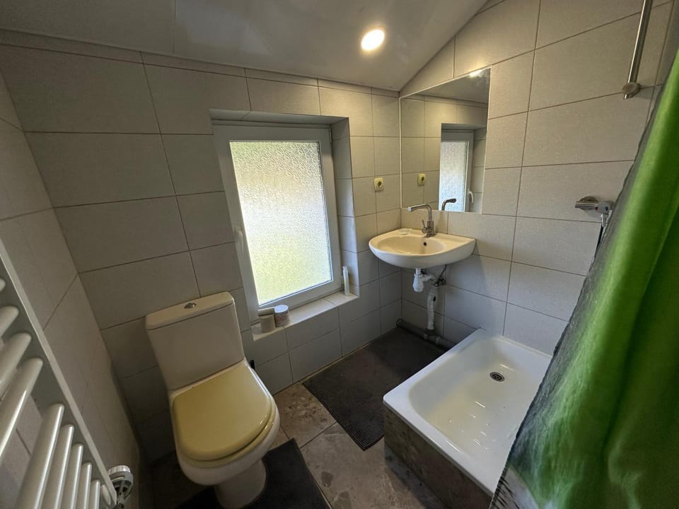 Shower, Toilet