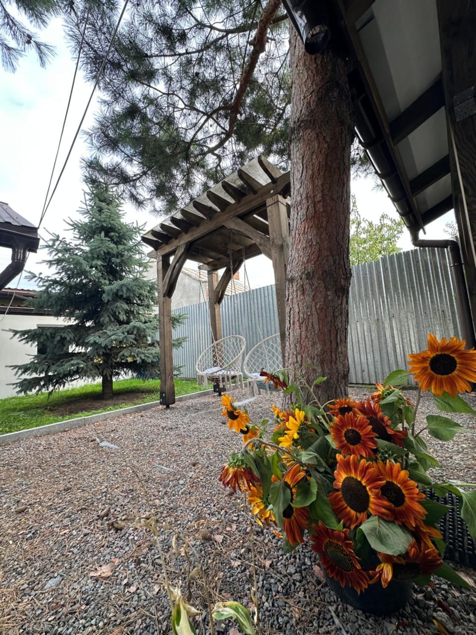 Day, Garden
