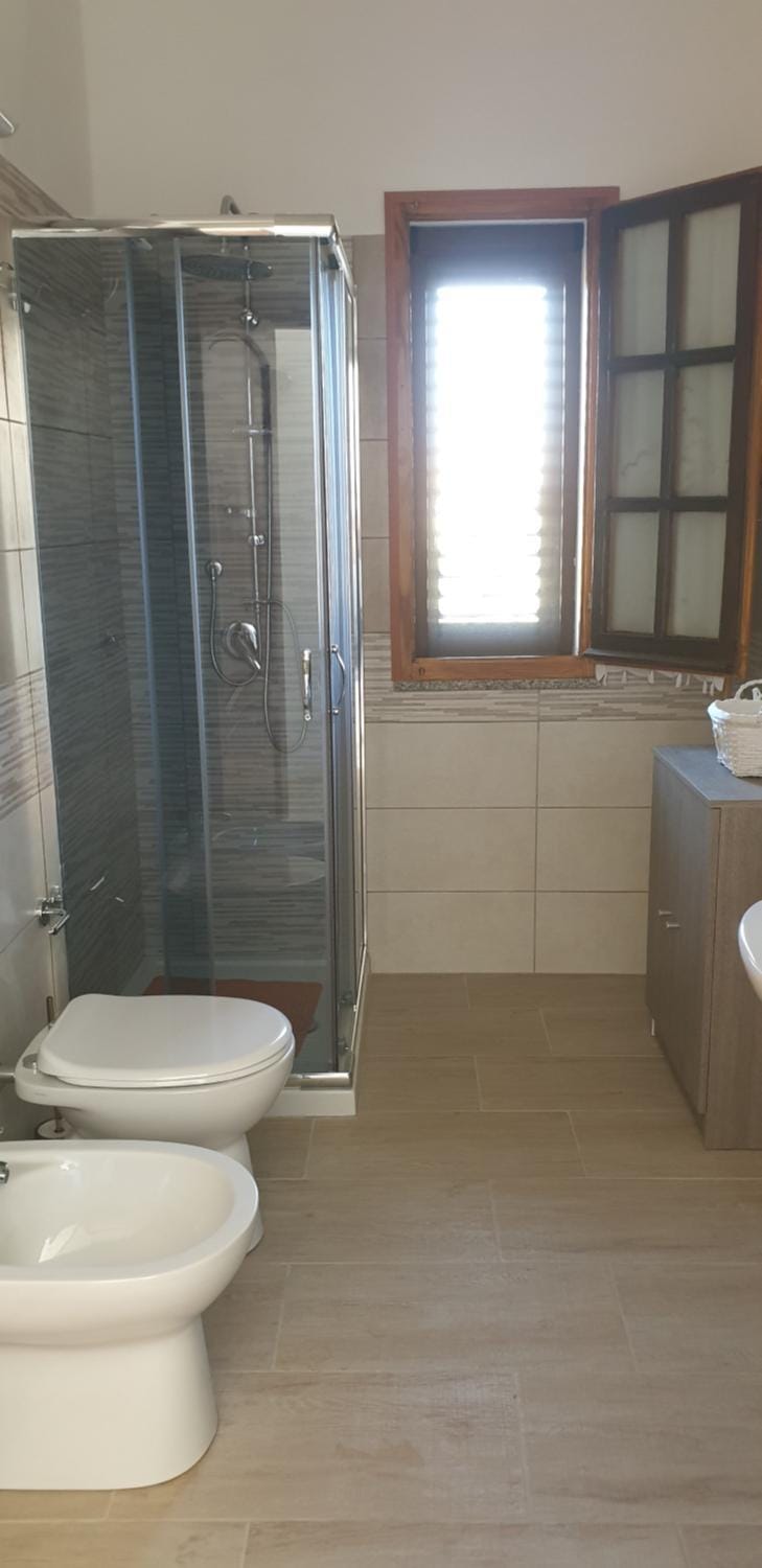 Shower, Toilet, Bathroom, bidet