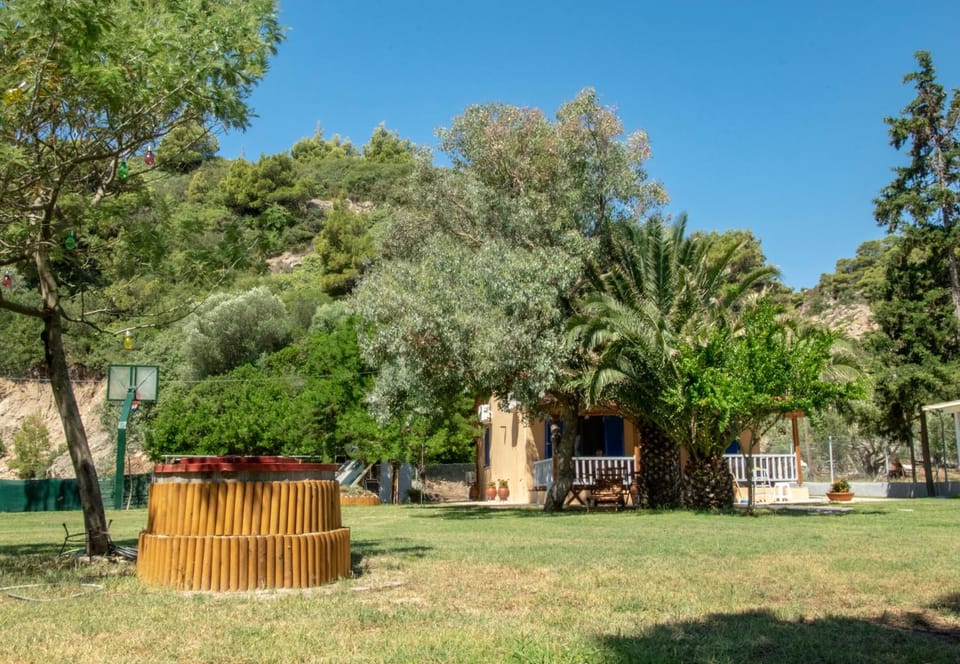 Garden, Mountain view