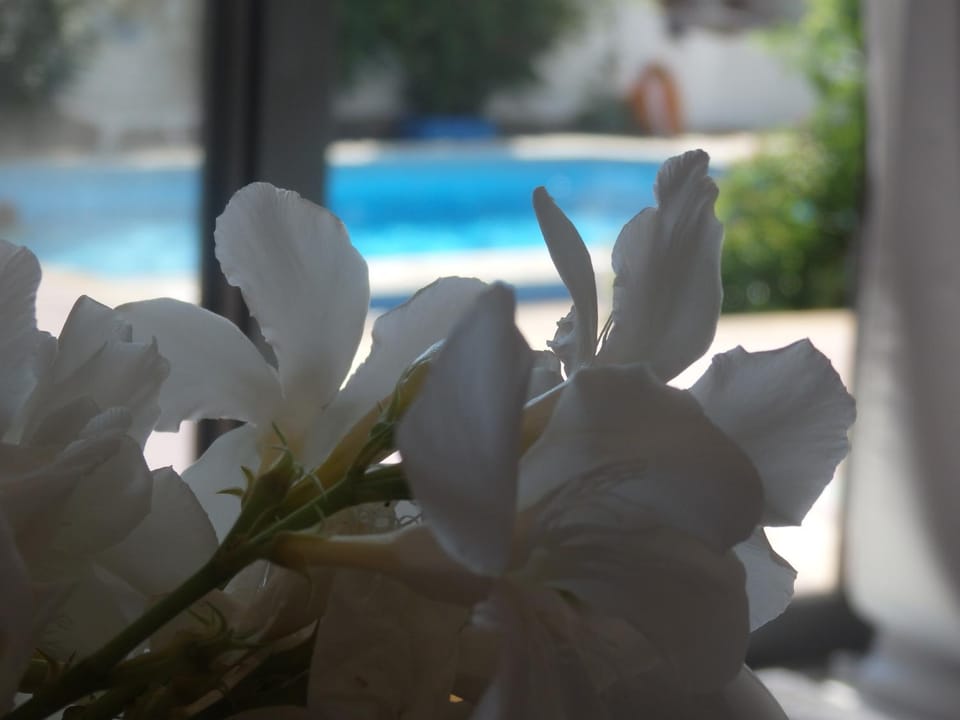 George apartments Apartment in Halkidiki