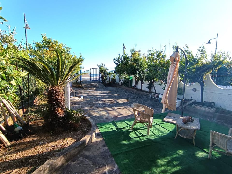 Natural landscape, Garden, Garden view