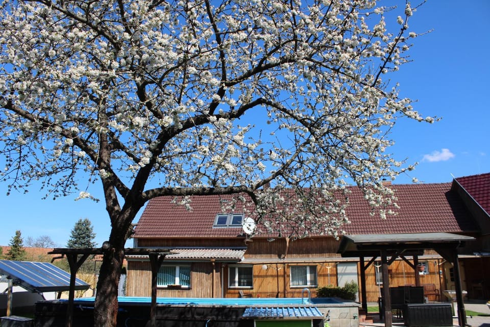 Garden, Swimming pool