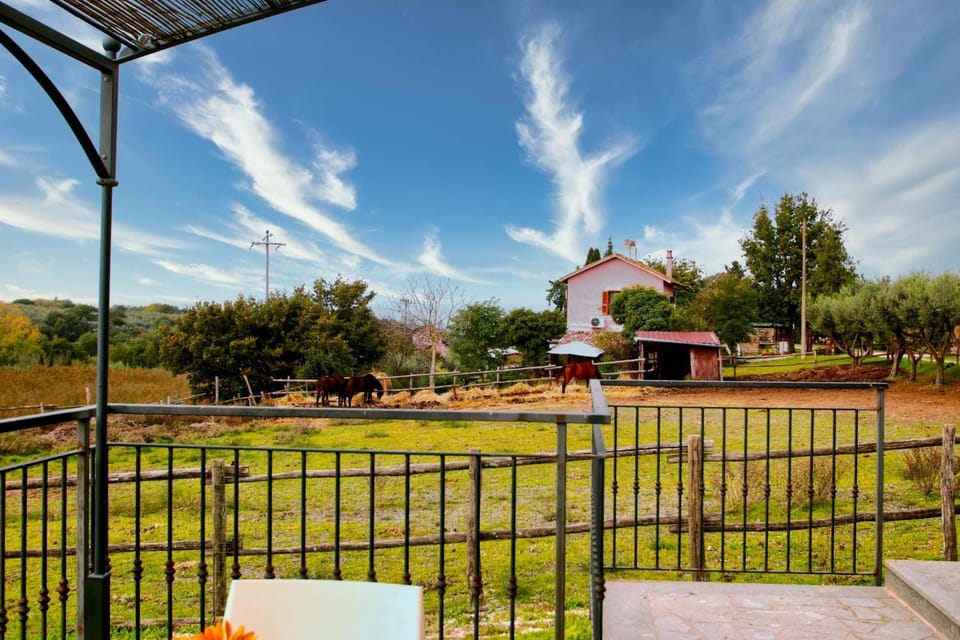 View (from property/room)