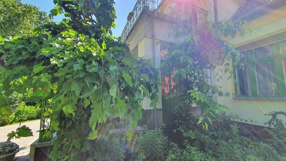 Property building, Summer