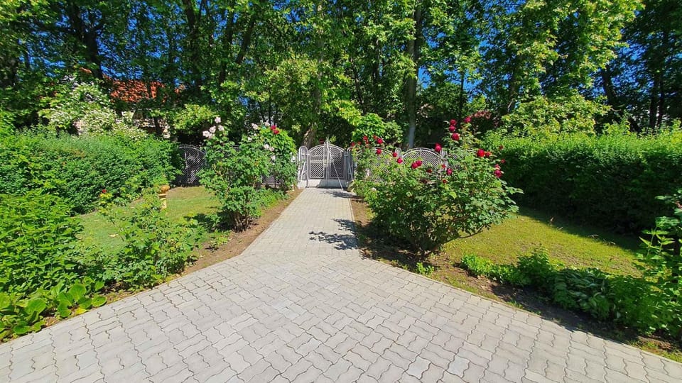 Summer, Garden