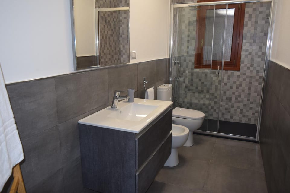 Shower, Toilet, Bathroom, bidet