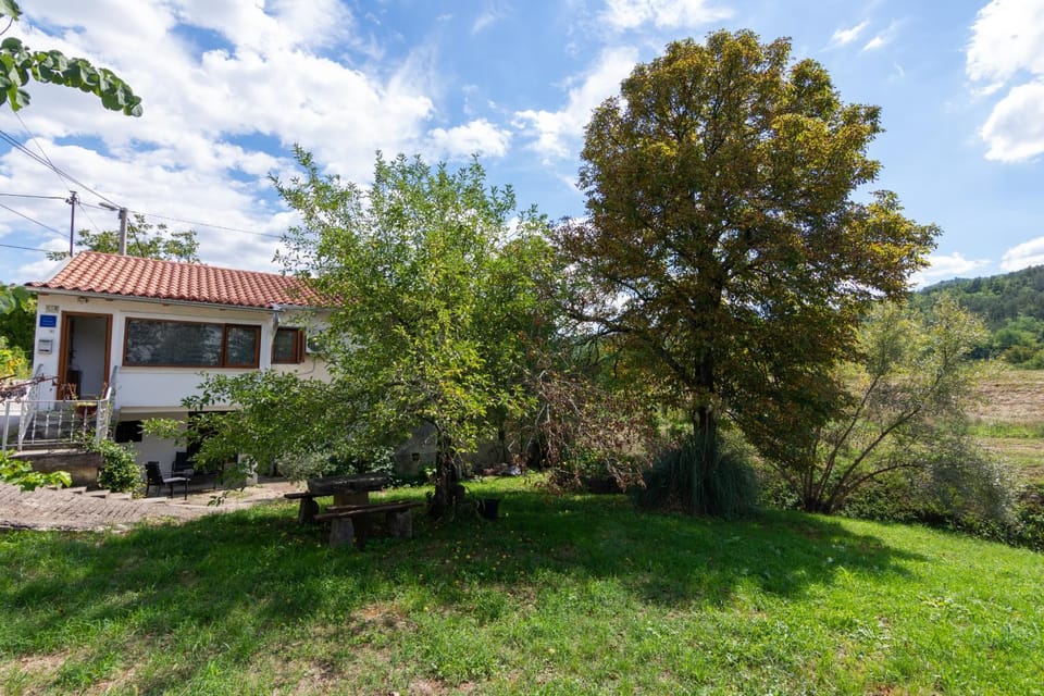 Location, children, Family