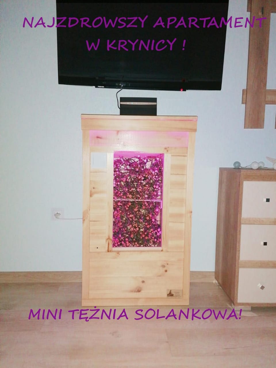 Communal lounge/ TV room, TV and multimedia, Evening entertainment