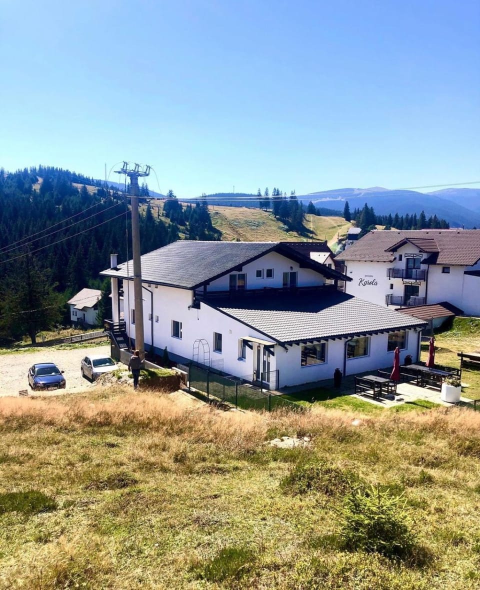Vila Paltinis Bed and Breakfast in Romania