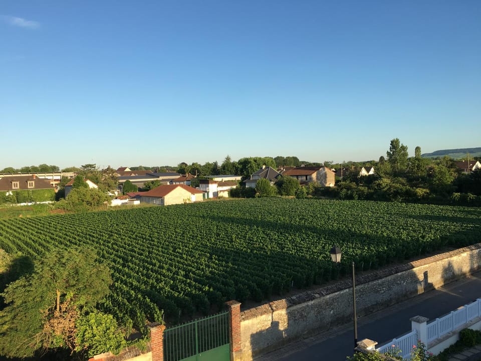 View (from property/room)