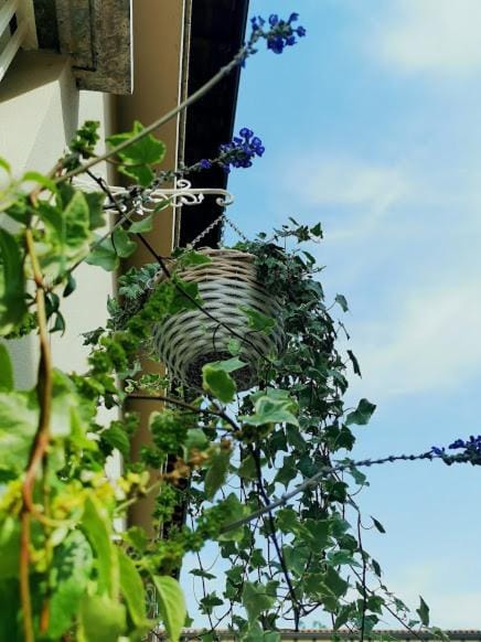 Il Cortile Apartment in Province of Brescia