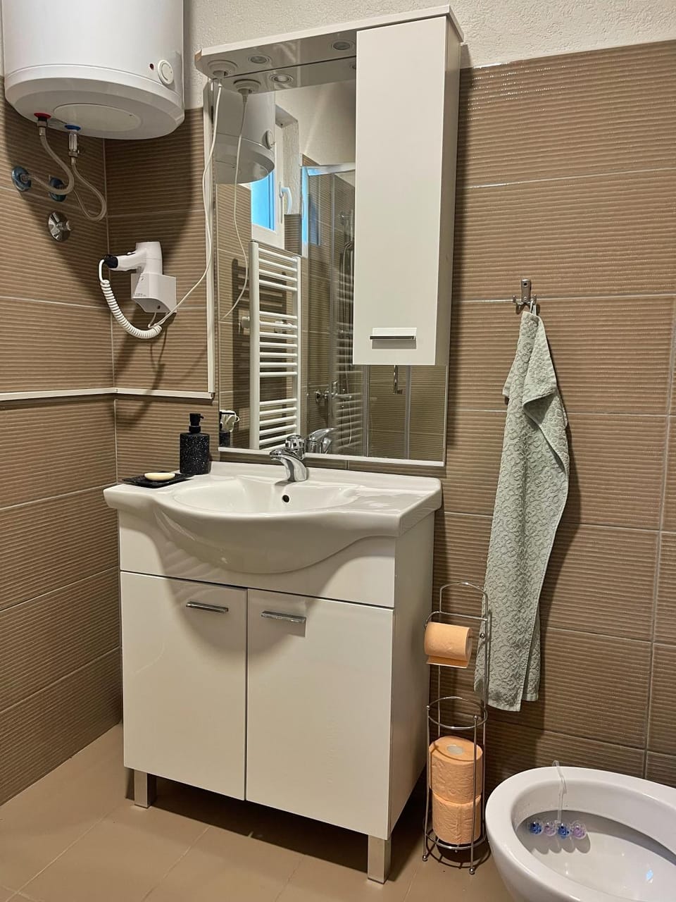 Bathroom, hair dryier