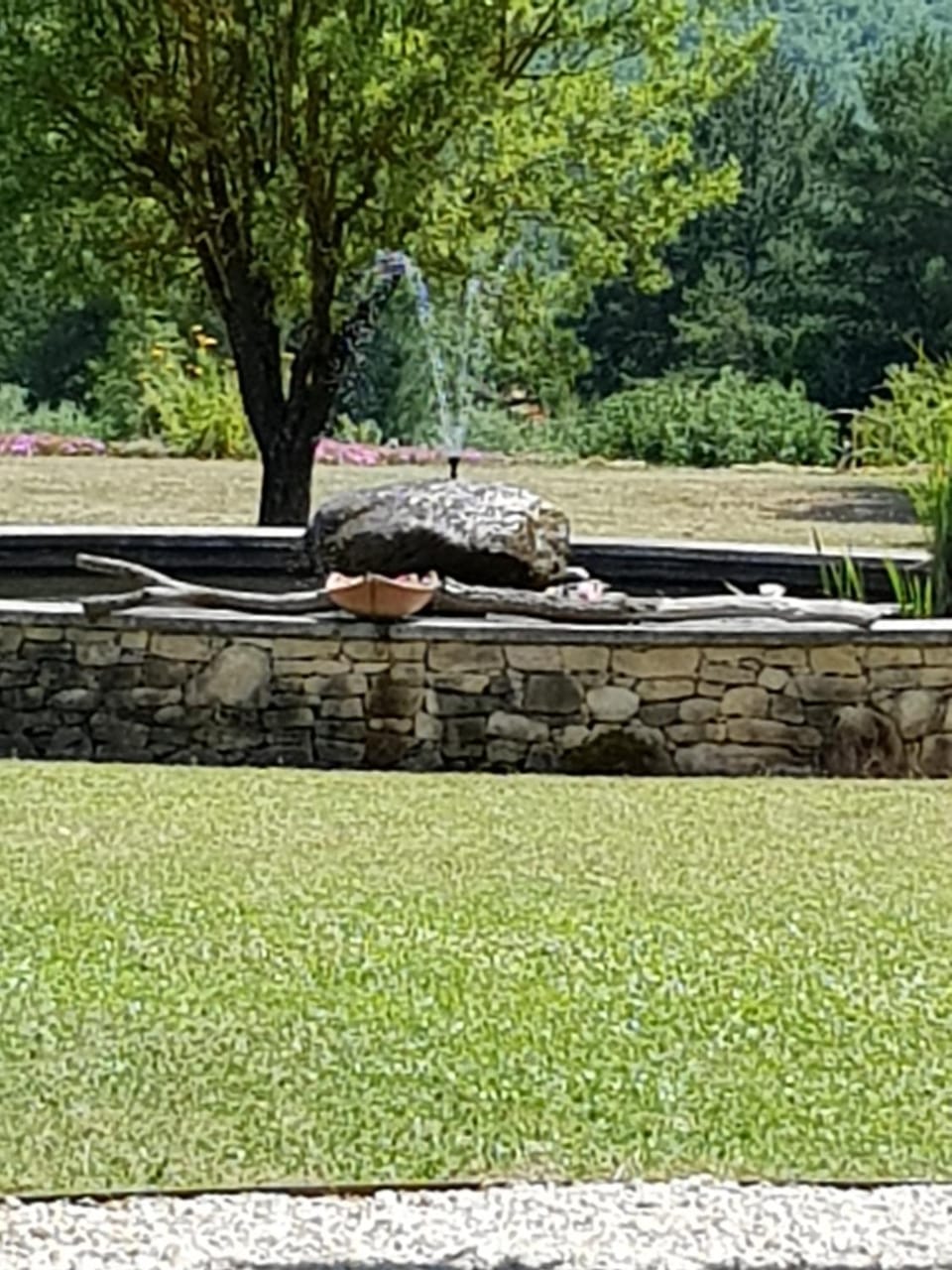 Garden view