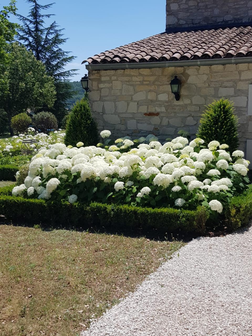 Les Néfliers chambre d'hôtes Bed and Breakfast in Provence-Alpes-Côte d'Azur