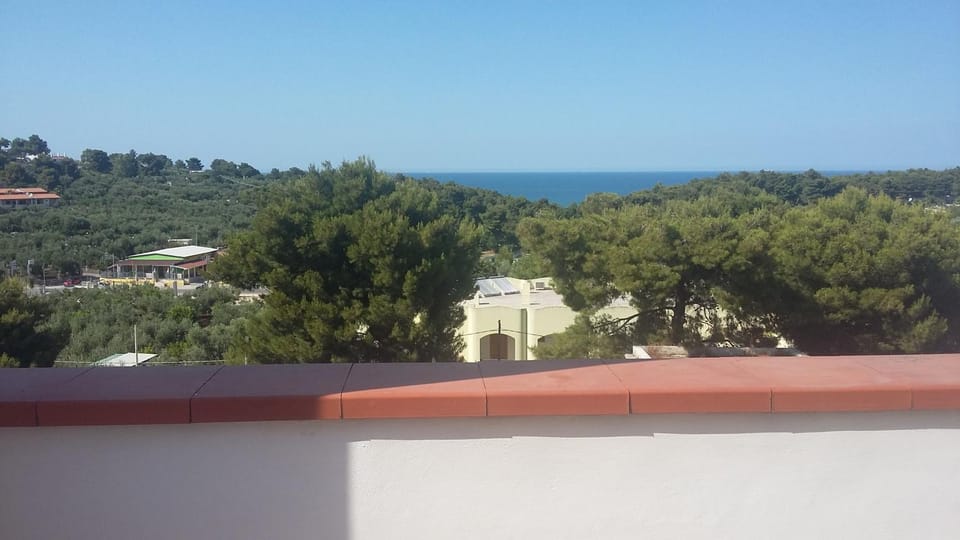 Sea view