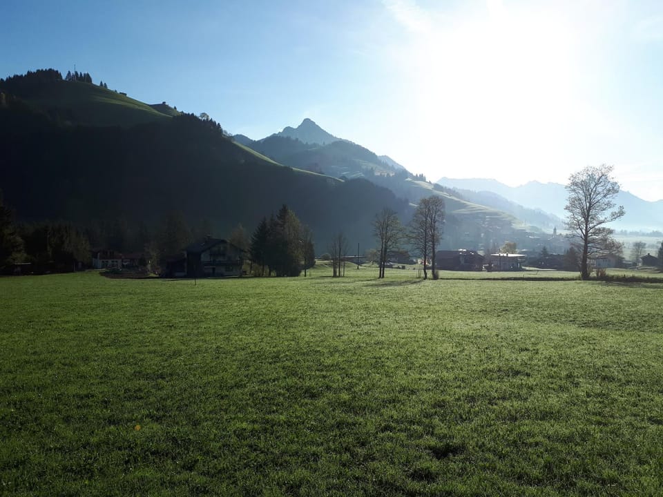 Natural landscape