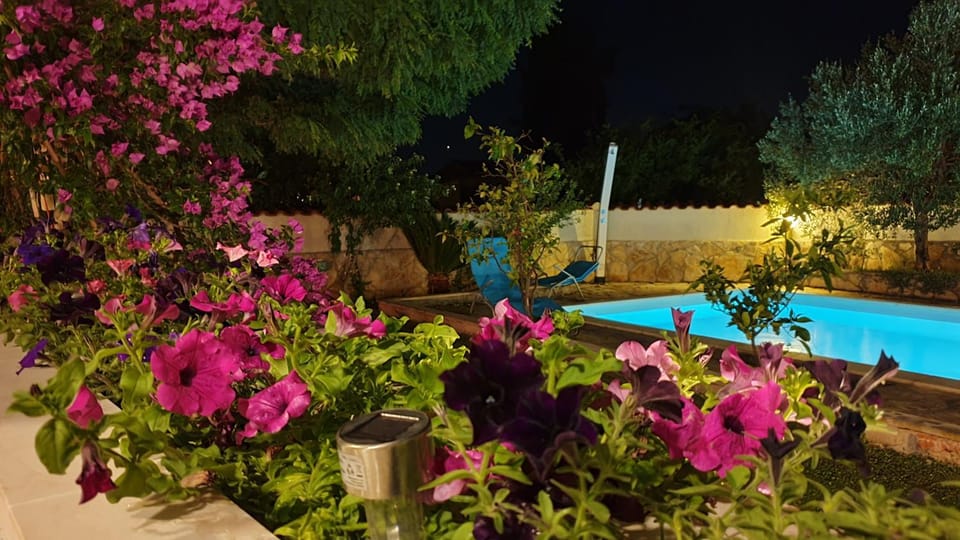 Patio, Night, Garden, Pool view, Swimming pool