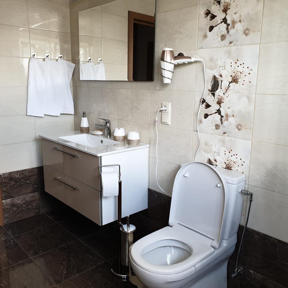 Toilet, Bathroom