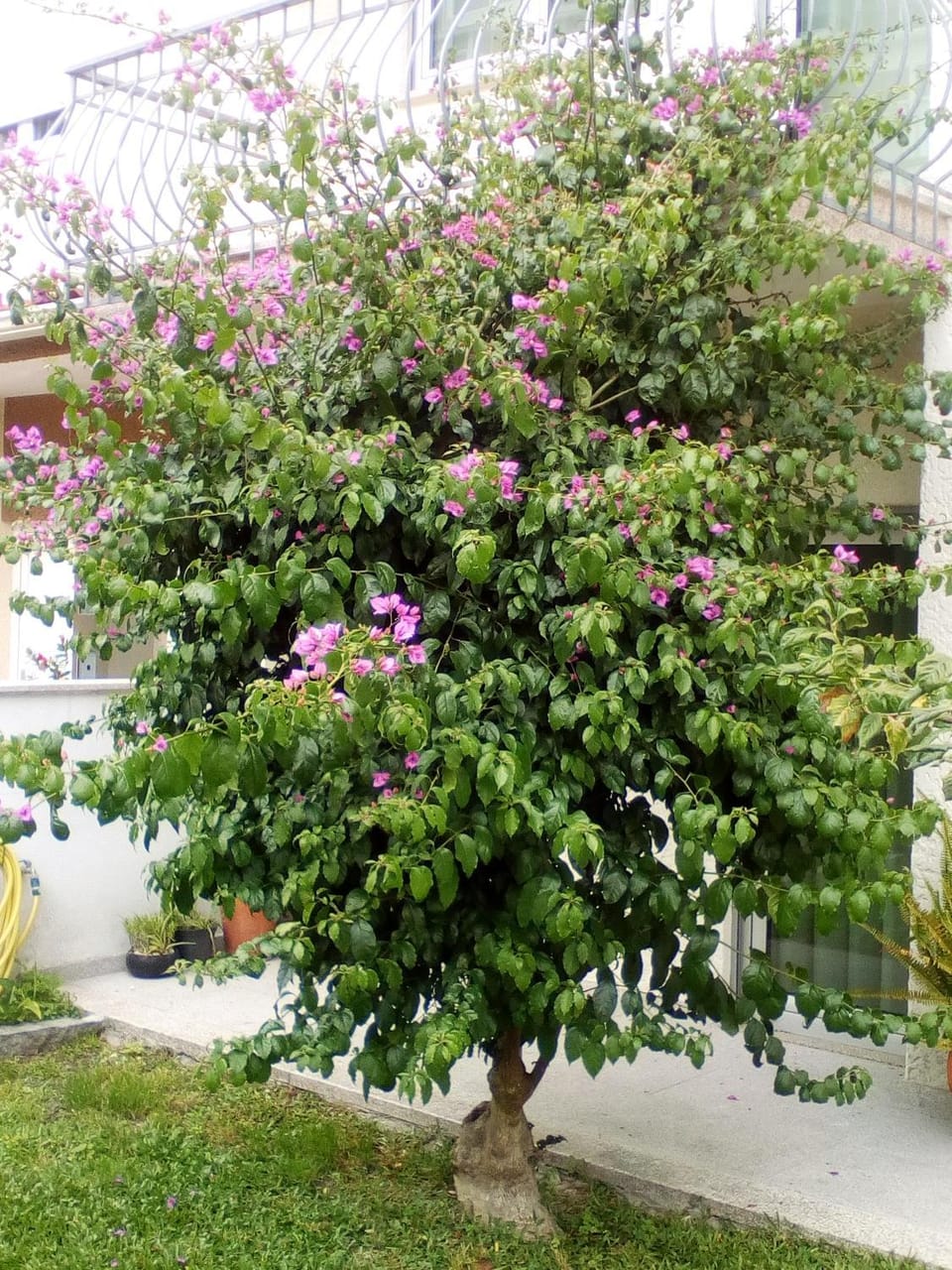 Home Sleep Home Fafe Apartment in Porto District