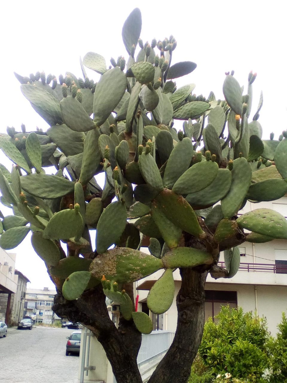 Home Sleep Home Fafe Apartment in Porto District
