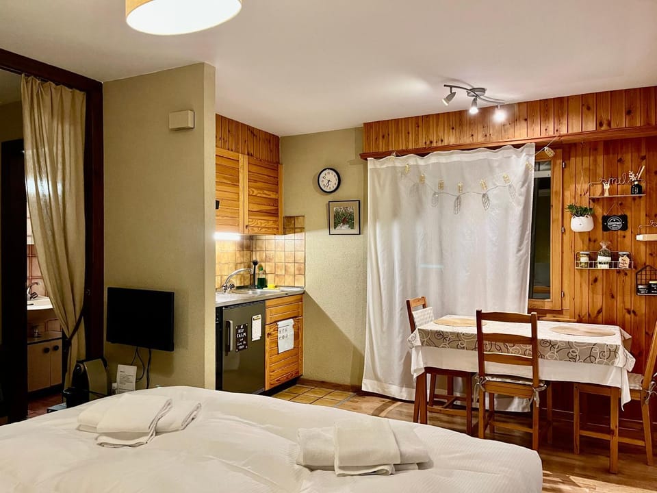 Bed, TV and multimedia, Kitchen or kitchenette, Photo of the whole room, Dining area