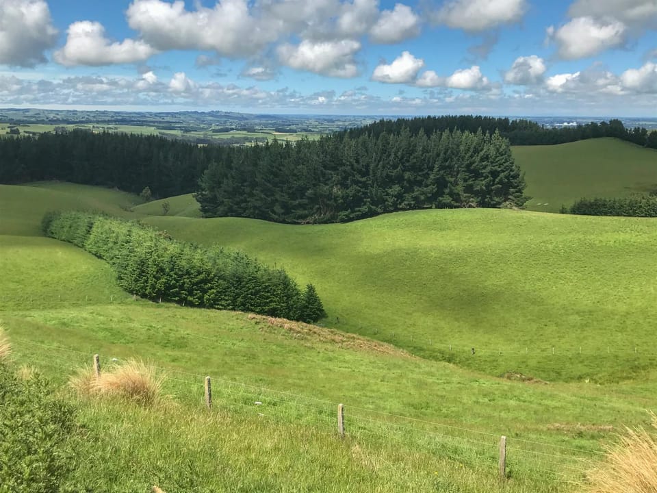 Natural landscape