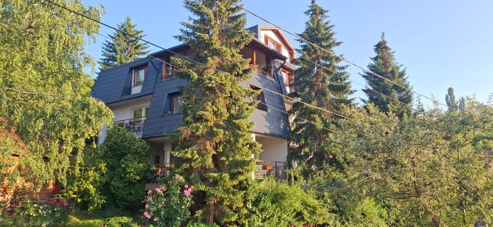 Guesthouse Hill Vacation rental in Sarajevo