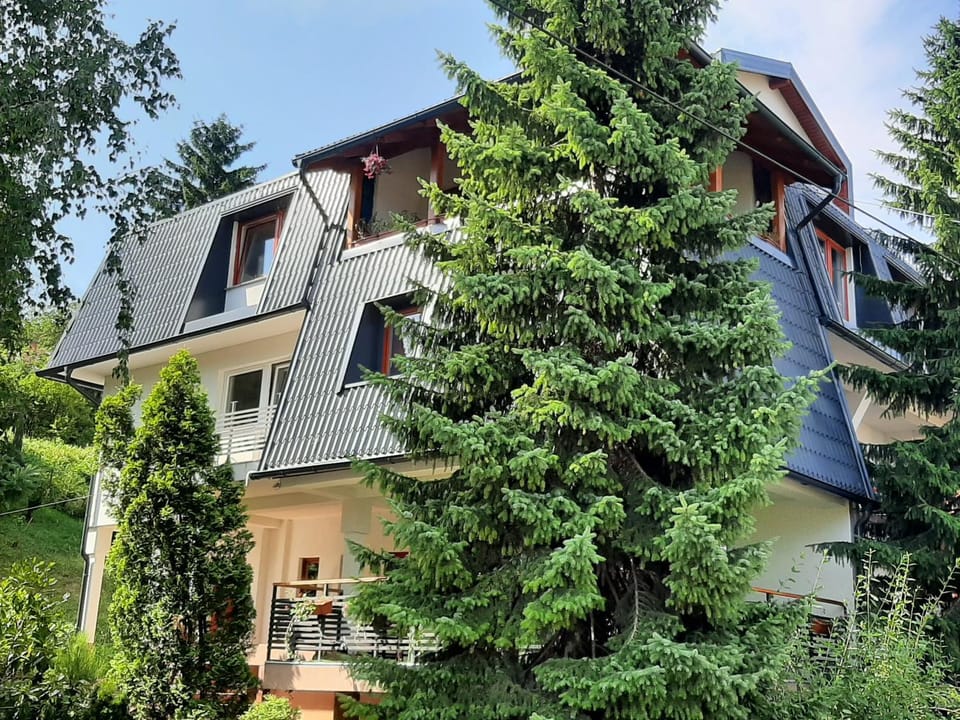 Guesthouse Hill Vacation rental in Sarajevo