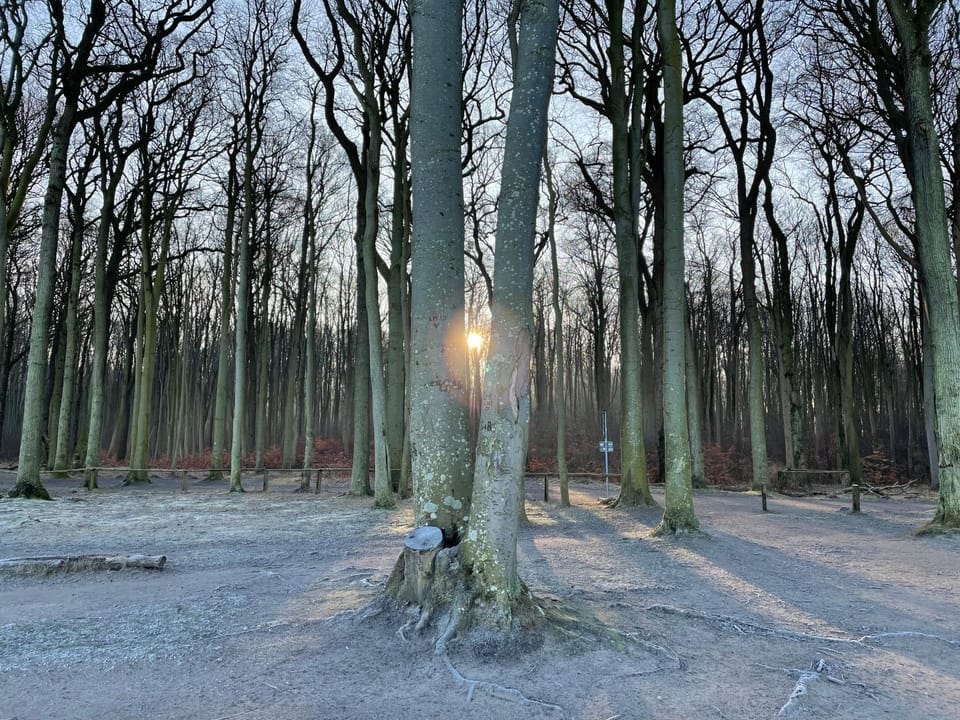 Natural landscape, Winter