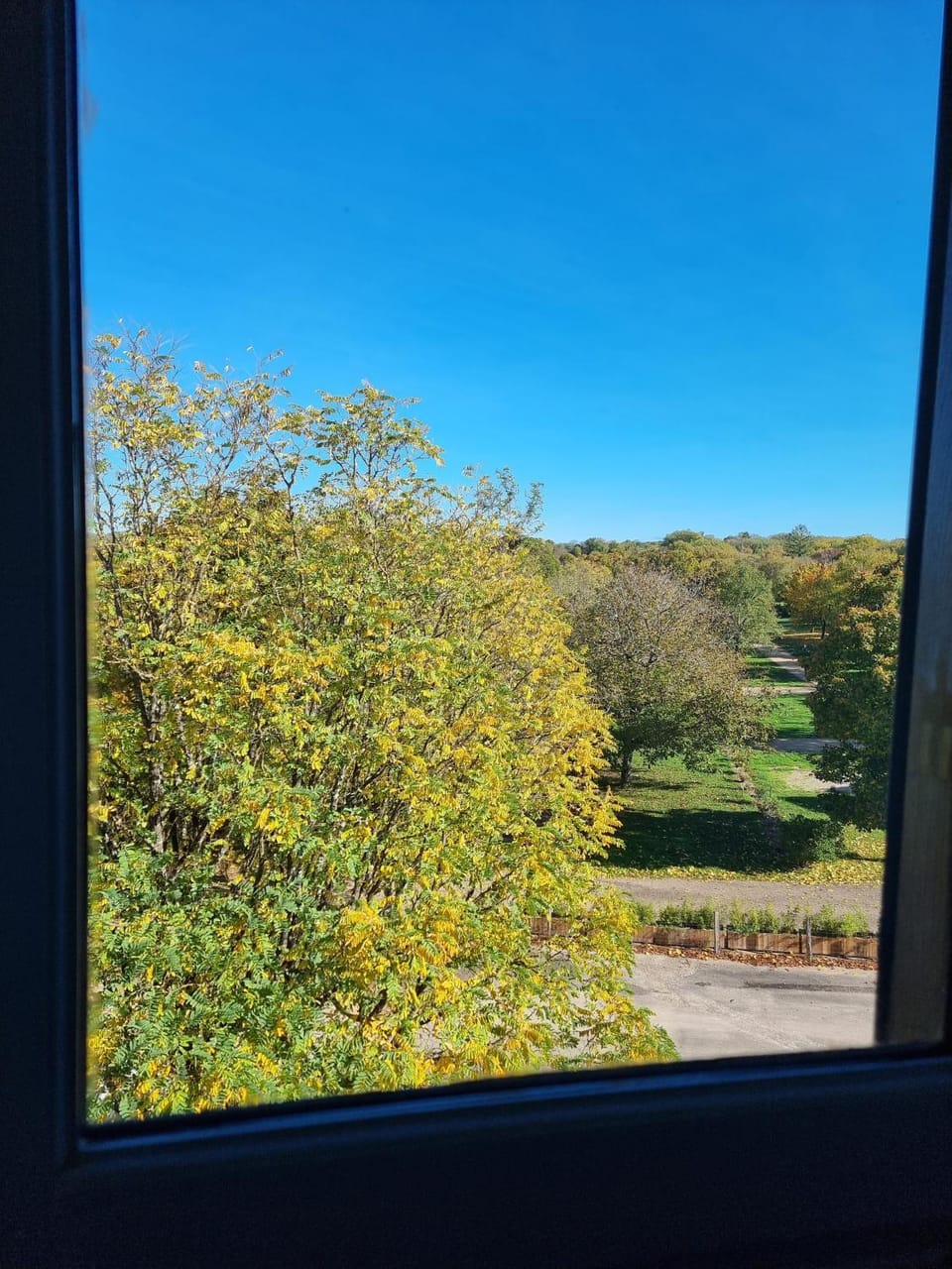 View (from property/room), Garden view, Garden view