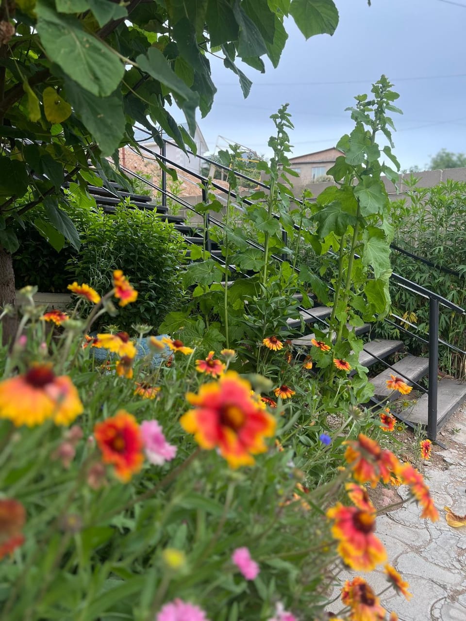 Абия Bed and Breakfast in Almaty Region, Kazakhstan