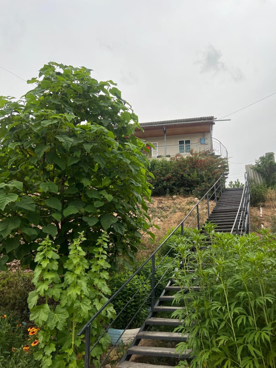 Абия Bed and Breakfast in Almaty Region, Kazakhstan