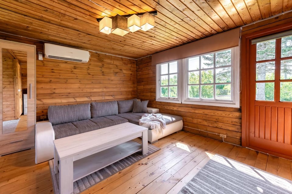 Living room, Seating area, air conditioner