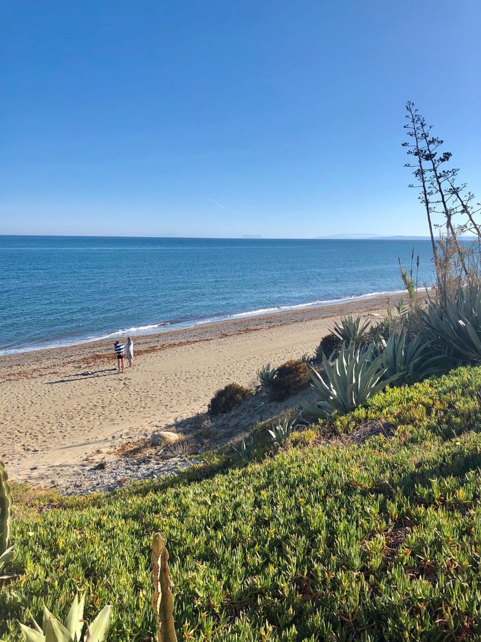 Natural landscape, Summer, Beach