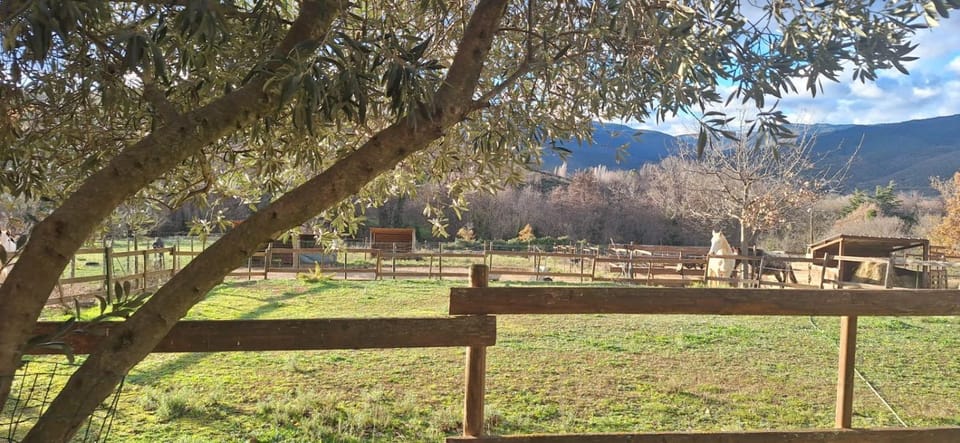Winter, Garden, Mountain view