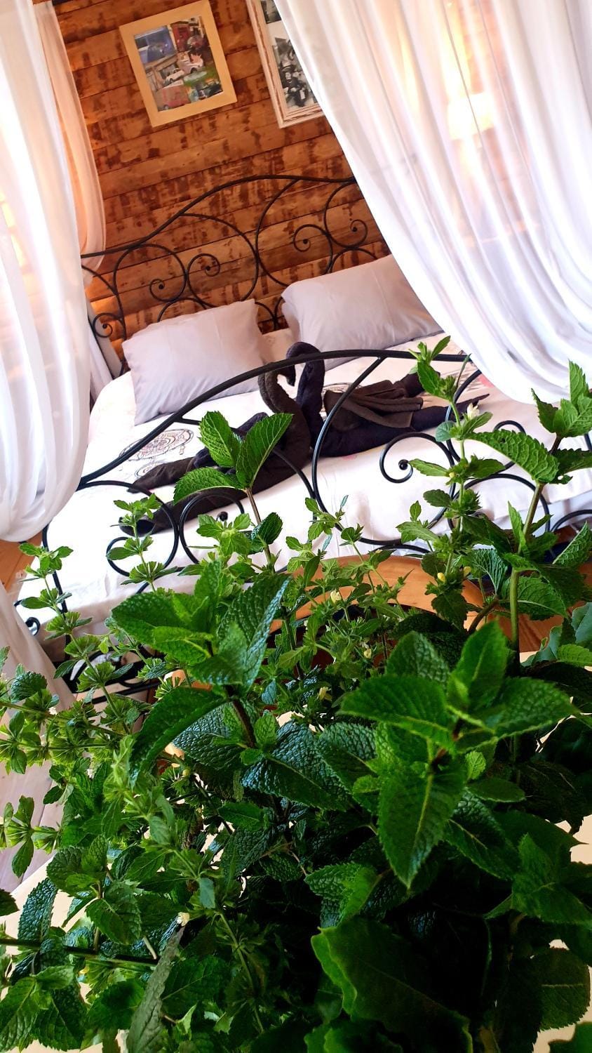 Bed